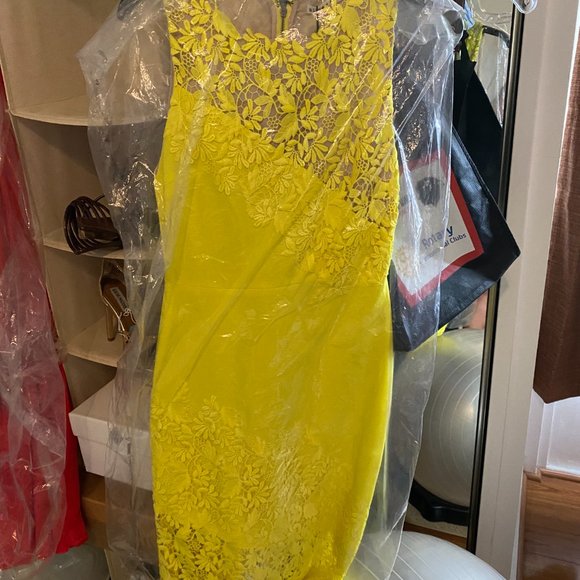 Alice and Olivia Margy Appliquéd Sheath Floral Lace Dress Yellow - Picture 5 of 9